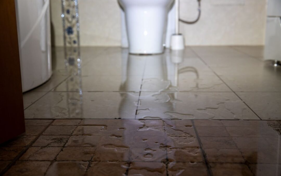 Test for Toilet Leaks
