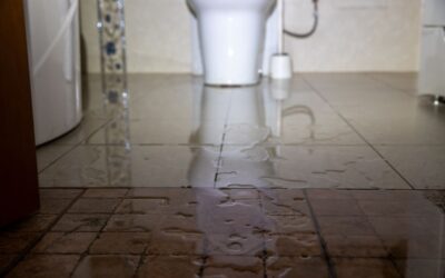 Test for Toilet Leaks