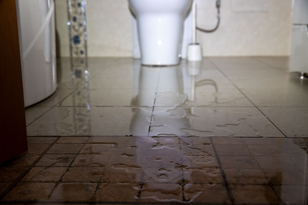 Appleberry Plumbing 3 Tip Sunday Toilet Leak